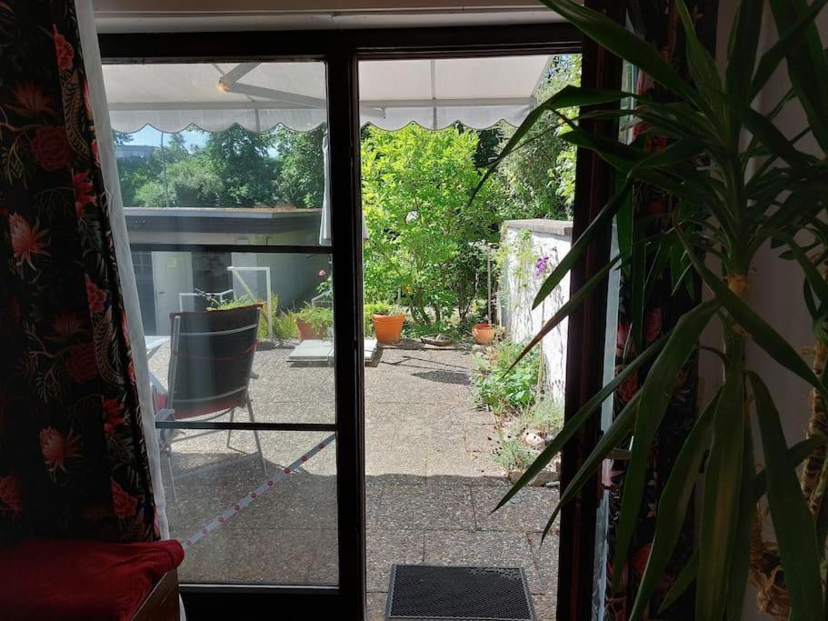 Grosszuegige Wohnung Mit Terrasse Wuerzburg, Zell Zell am Main Extérieur photo